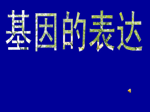 人教版高中生物必修二第四章《基因的表达》课件