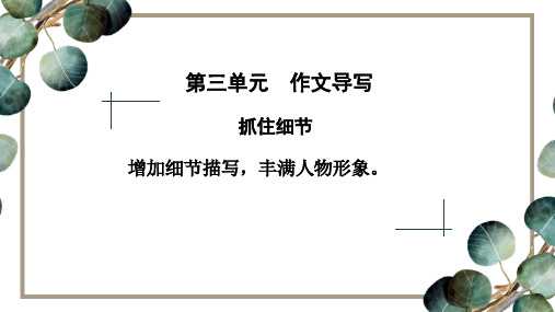 3.17部编版语文七下第三单元作文导写