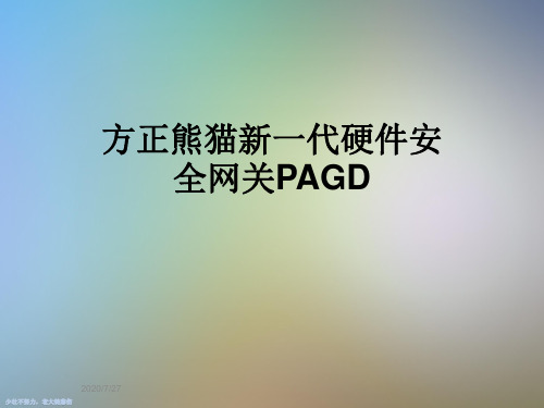 方正熊猫新一代硬件安全网关PAGD