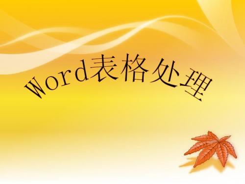 (文科)Word2003表格处理