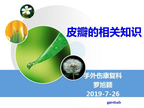 皮瓣的相关知识-PPT精品文档