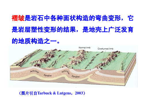 褶皱要素和褶皱形态