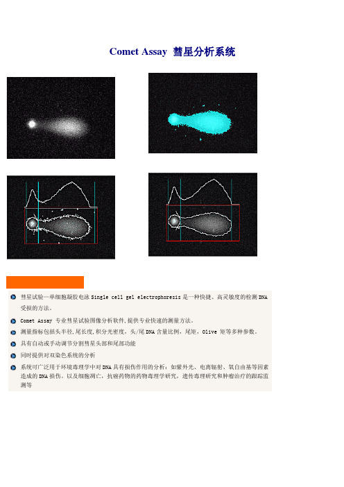 CometAssay