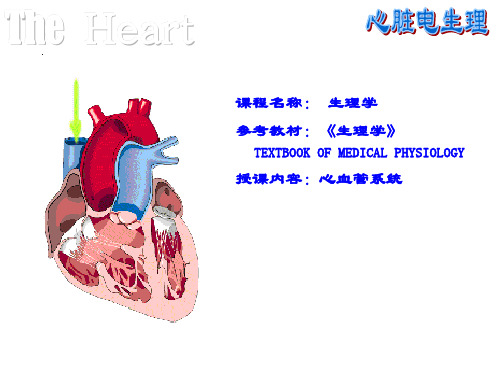 生理学心脏电生理