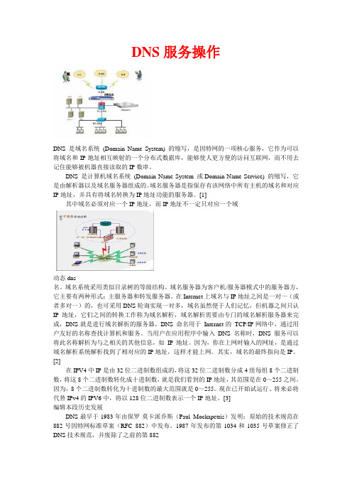 DNS服务使用与简介