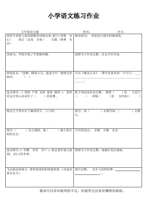 五年级语文课堂拓展精选练习I (20)