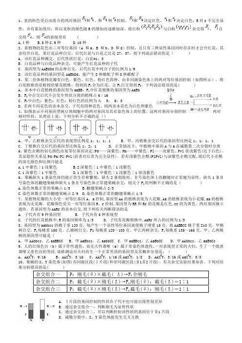 分离定律和自由组合定律题目精选