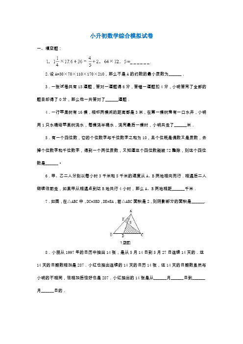 2020青岛7六年级小升初数学综合测试卷及参考答案