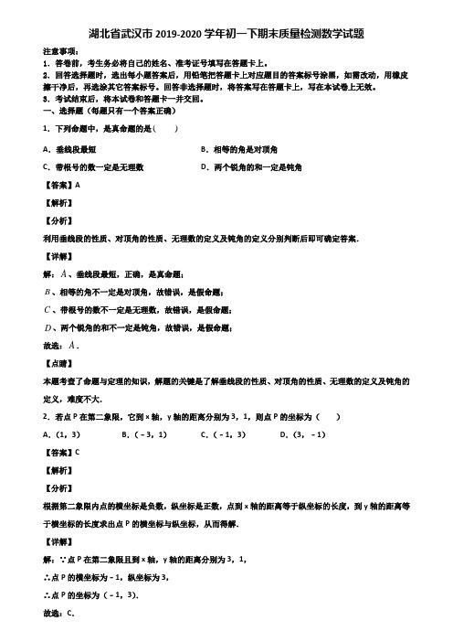 湖北省武汉市2019-2020学年初一下期末质量检测数学试题含解析