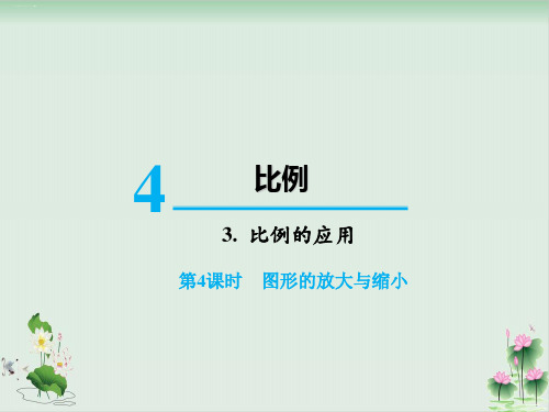 六年级下册数学课件3.比例的应用图形的放大与缩小(人教版)PPT课件