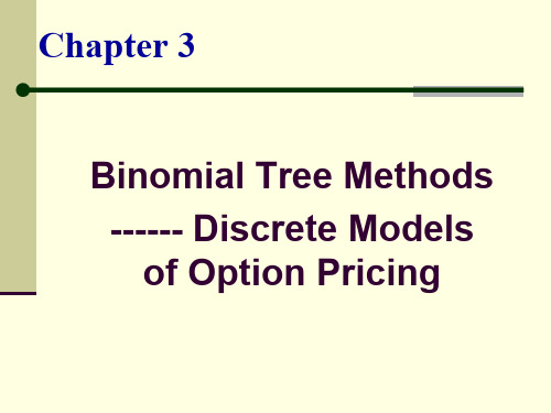 金融衍生品定价理论第三章(binomial tree methods--discrete models of option pricing)