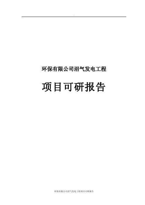 环保有限公司沼气发电工程项目可研报告