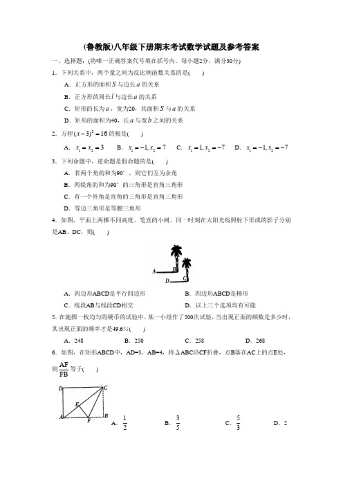 (鲁教版)八年级下册期末考试数学试题及参考答案