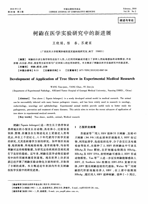 树鼩在医学实验研究中的新进展