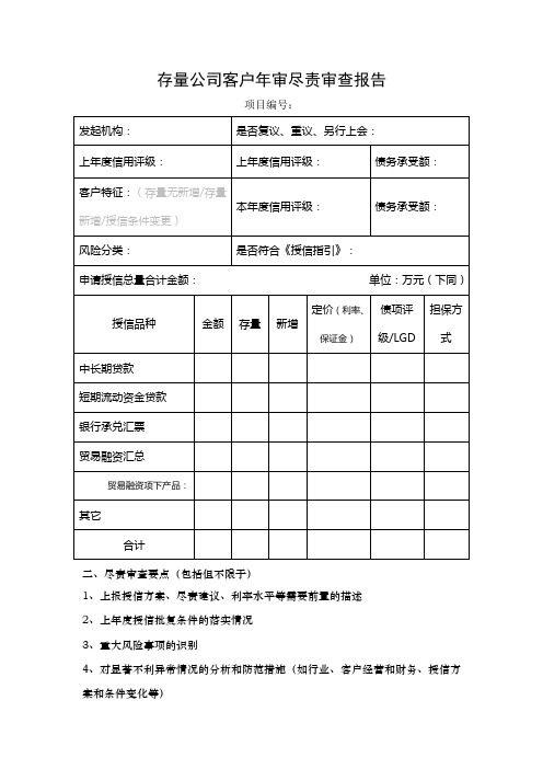 存量公司客户年审尽责审查报告