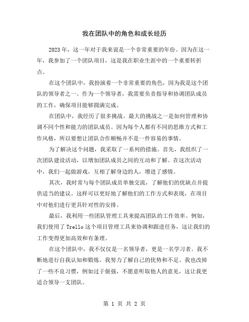 我在团队中的角色和成长经历