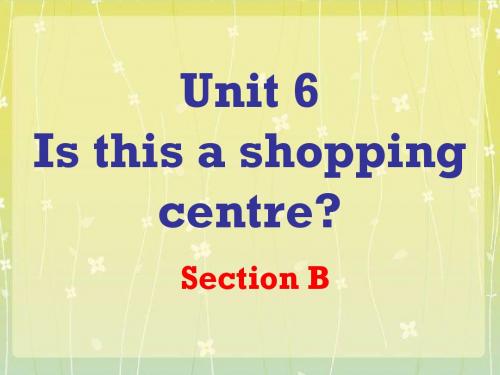 五年级下册英语课件-Unit 6 Is this a shopping centre Section B 2 -湘鲁版(共18张PPT)