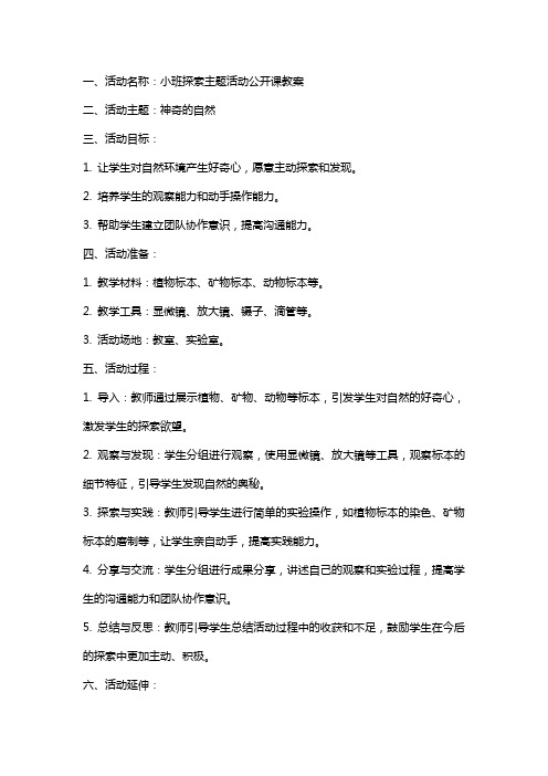 小班生成探索主题活动公开课教案