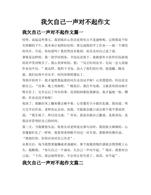 我欠自己一声对不起作文