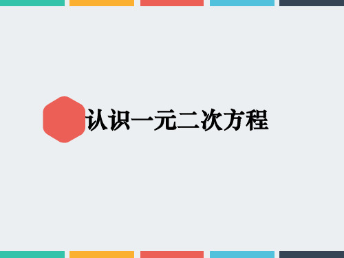 《认识一元二次方程》教学PPT课件