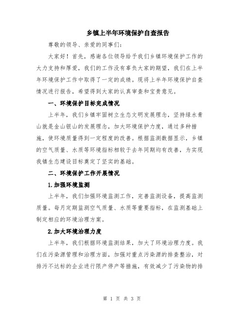 乡镇上半年环境保护自查报告