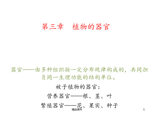 植物的器官(根、茎)