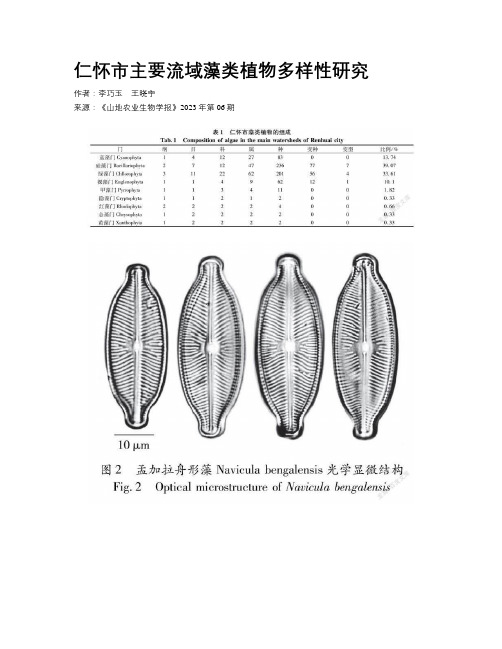 仁怀市主要流域藻类植物多样性研究