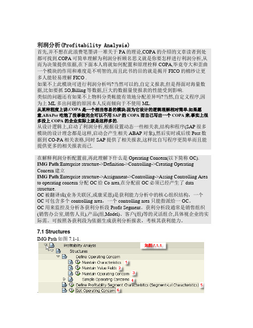 利润分析(Profitability Analysis)  CO-PA