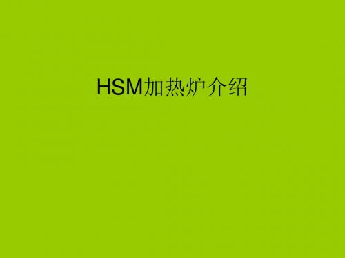 HSM加热炉简介