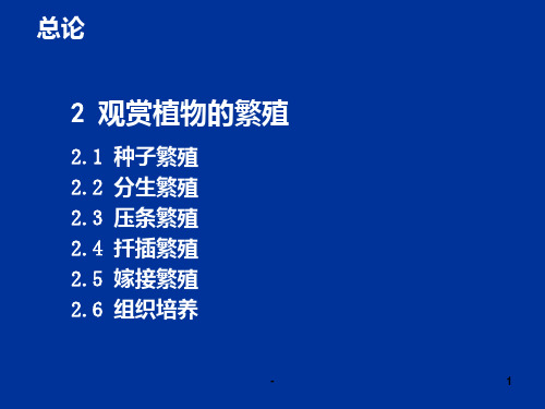 第二章-观赏植物的繁殖PPT课件