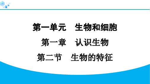 2024人教版生物七年级上册第一单元生物和细胞第一章认识生物1.1.2 生物的特征 习题课件ppt