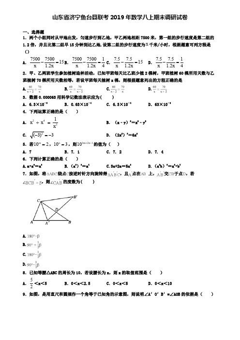 山东省济宁鱼台县联考2019年数学八上期末调研试卷