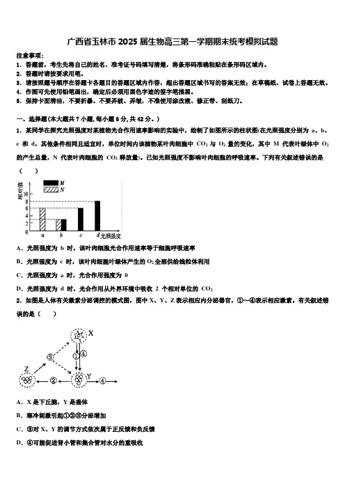 广西省玉林市2025届生物高三第一学期期末统考模拟试题含解析