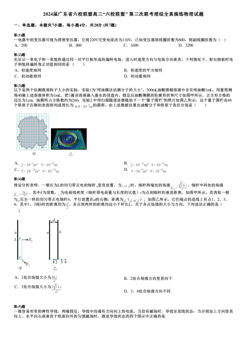 2024届广东省六校联盟高三“六校联盟” 第三次联考理综全真演练物理试题