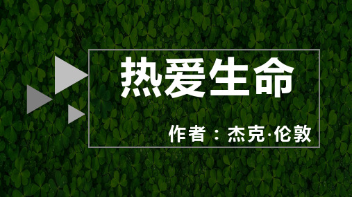 高中语文人教版(新课程标准)必修四第三单元10短文三篇热爱生命