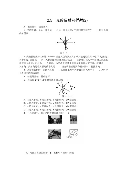 2.5光的反射和折射(2)