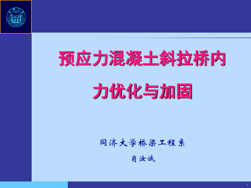 斜拉桥索力优化与调整