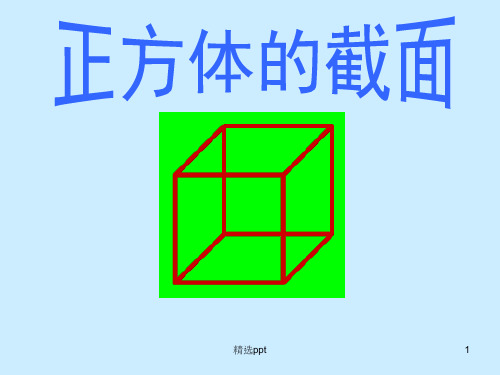 正方体的截面 高中数学课件