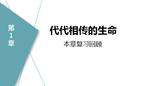 2020-2021学年浙教版七年级科学下册期末单元复习课件  第1章   代代相传的生命