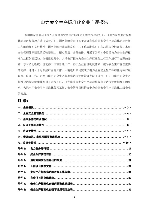 电力企业安全生产标准化达标自查报告