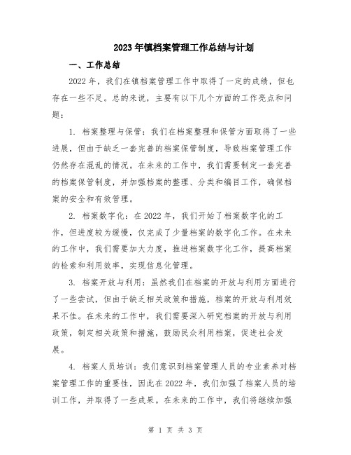 2023年镇档案管理工作总结与计划