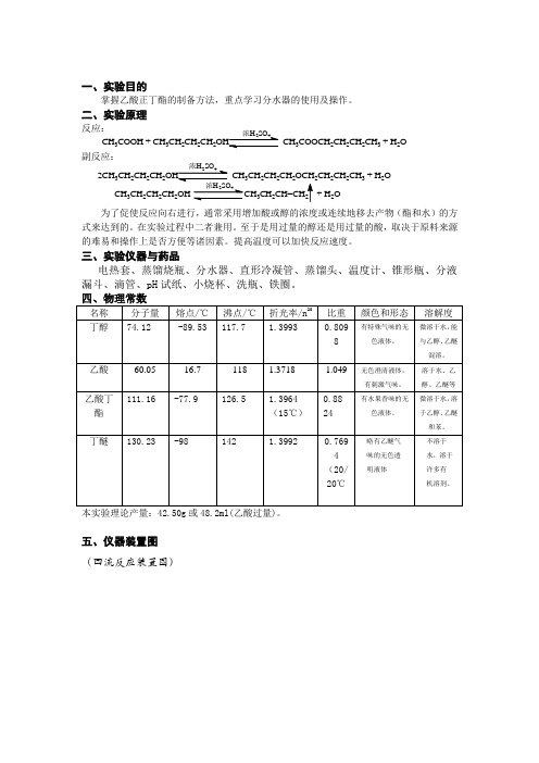 乙酸正丁酯的制备