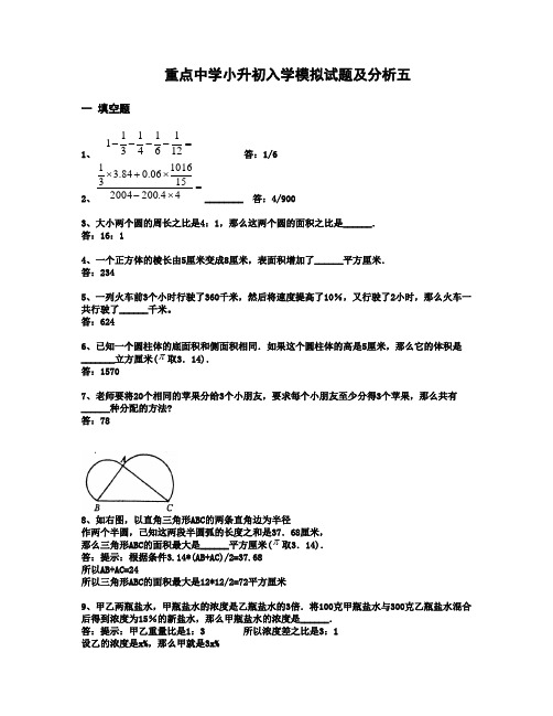 重点中学小升初入学模拟试题及分析五