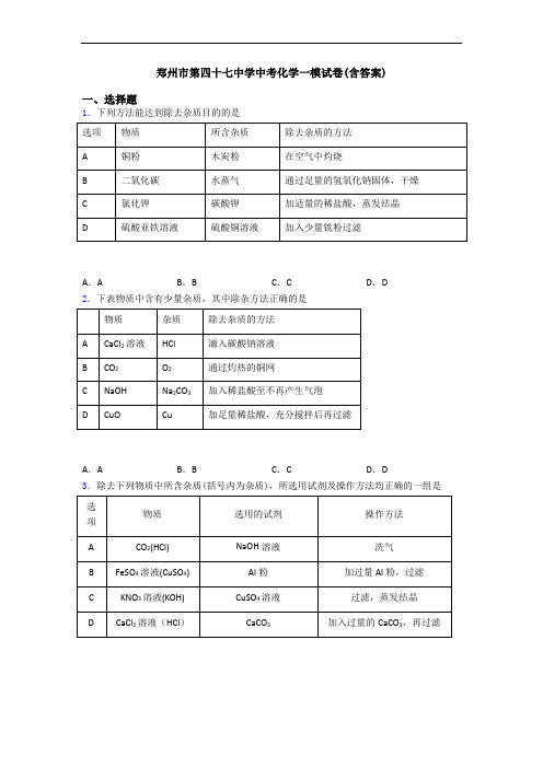 郑州市第四十七中学中考化学一模试卷(含答案)