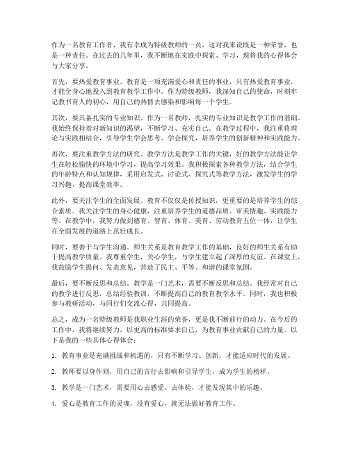 特级教师盘点心得体会范文