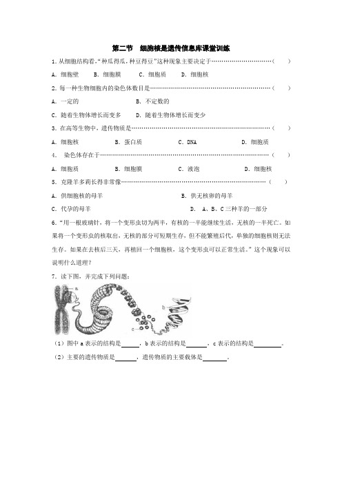 七年级生物细胞核是遗传信息库课堂训练