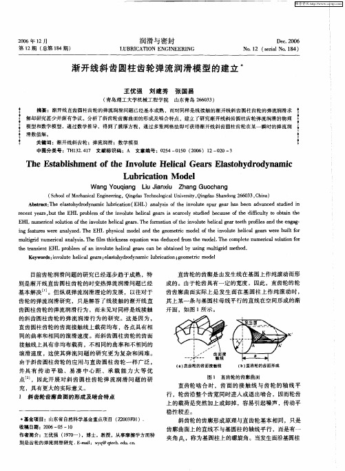 渐开线斜齿圆柱齿轮弹流润滑模型的建立