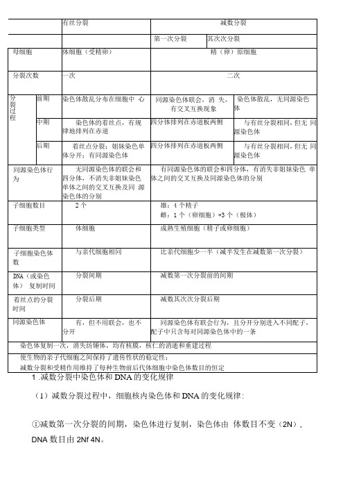 染色体与DNA数量的变化