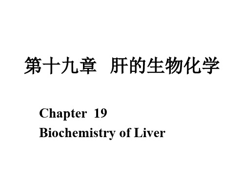 第19章肝的生物化学