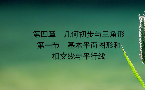 中考数学复习第四章几何初步与第一节基本平面图形和课件12